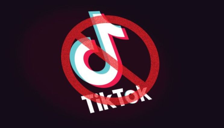 В США первый штат принял закон о запрете TikTok