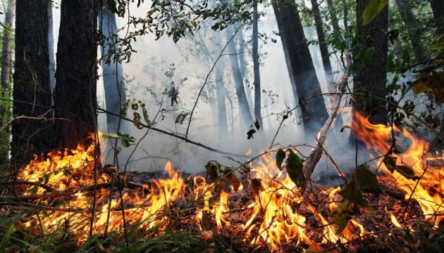 В ряде областей Украины объявили чрезвычайный уровень опасности: какие регионы под угрозой