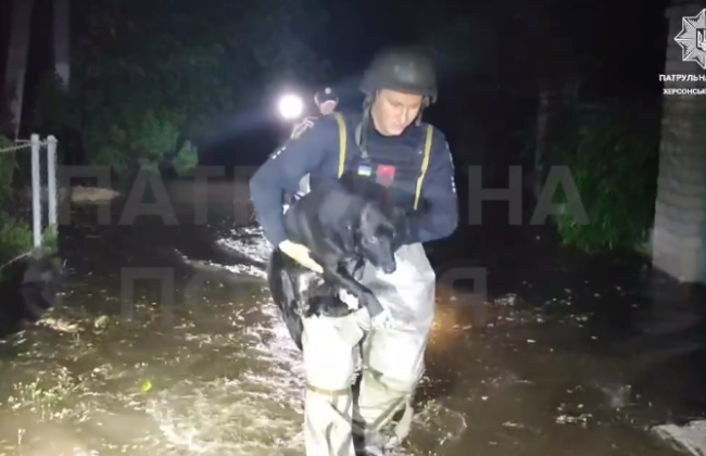 В патрульной полиции показали фрагменты эвакуации из Херсонщины: видео