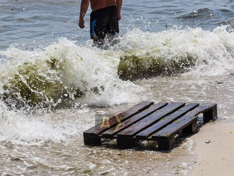 В Одесской области в морской воде обнаружили кишечную инфекцию и сальмонеллу