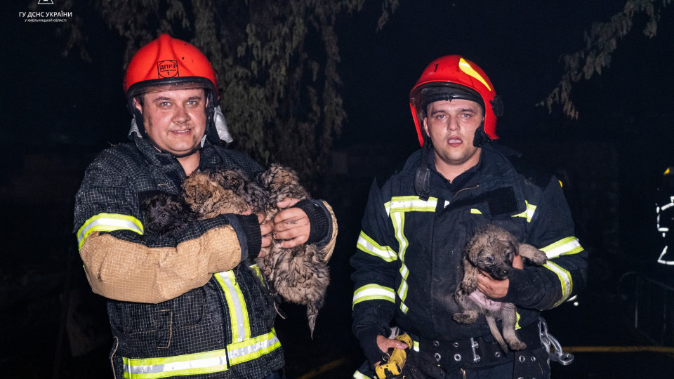 На Хмельнитчине во время пожара в ресторанном комплексе пожарные спасли 6 щенков, видео