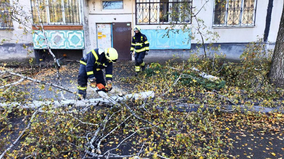 В Україні вирує негода: ДСНС нагадує правила поведінки при сильному вітрі