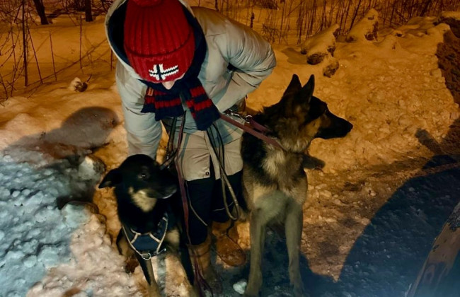 У Києві поліція знайшла загублених собак та розшукала власницю, фото