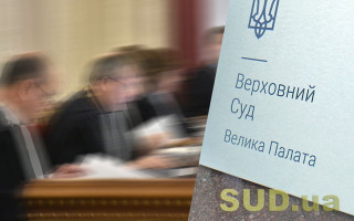 Отдельные судьи БП ВС не согласились с позицией БП ВС, что дела об установлении юридических фактов следует рассматривать по Гражданскому процессуальному кодексу, если может возникнуть спор о получении социальной помощи