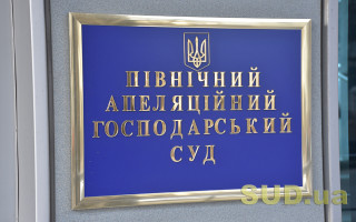 «Нові посадові оклади не вирішили проблем із заробітними платами працівників апаратів судів, виникли лише нові питання» — керівник апарату ПАГС Ольга Пасічник