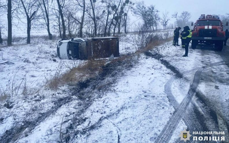 На Київщині через косулю сталася ДТП, фото