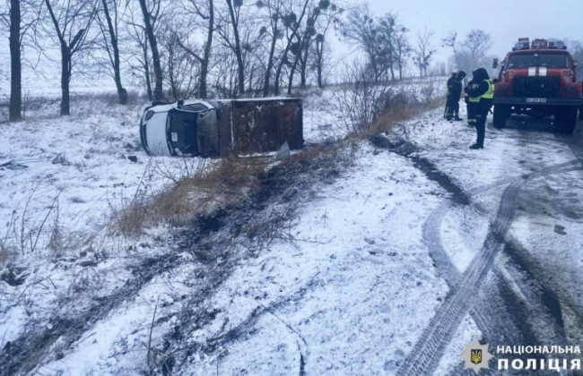 На Київщині через косулю сталася ДТП, фото