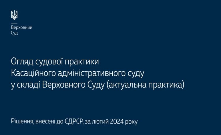 Дела по налогам и сборам и защита социальных прав: обзор практики КАС ВС