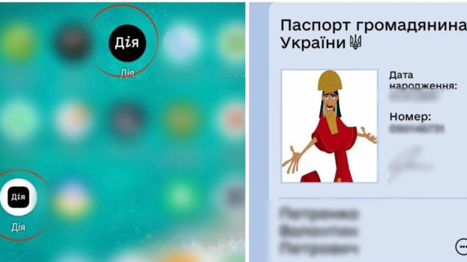 На Одещині викрили 17-річного хлопця на продажі підробленої «Дії»