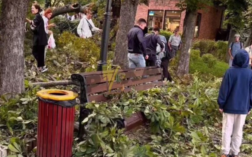 В Киеве в парке Шевченко на людей упало большое дерево, есть пострадавшие