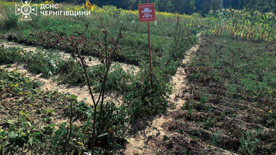 Сапери у шоці – на Чернігівщині місцеві підв’язують овочі табличками про міни