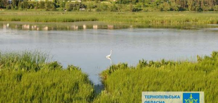 В государственную собственность вернули земли гидрологического заказника «Серетский» недалеко от Тернополя