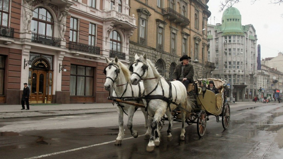 Во Львове запретили конные прогулки в центре города