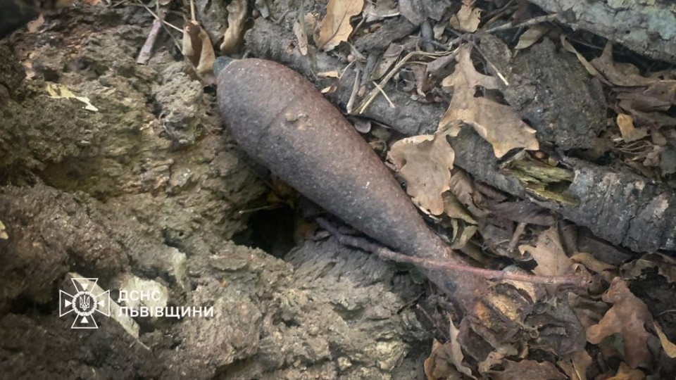 На Львівщині під час збирання грибів чоловік натрапив на мінометну міну, фото