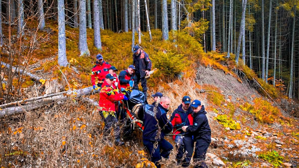 В лісі на Прикарпатті виявити тіло чоловіка, який напередодні пішов по гриби