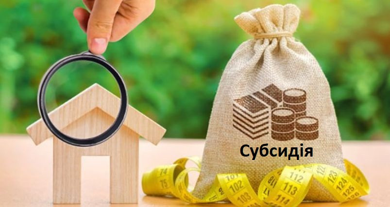 На какие услуги предоставляется субсидия — список