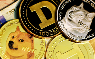 Цена на Dogecoin выросла на 20% после анонса Трампом нового департамента DOGE