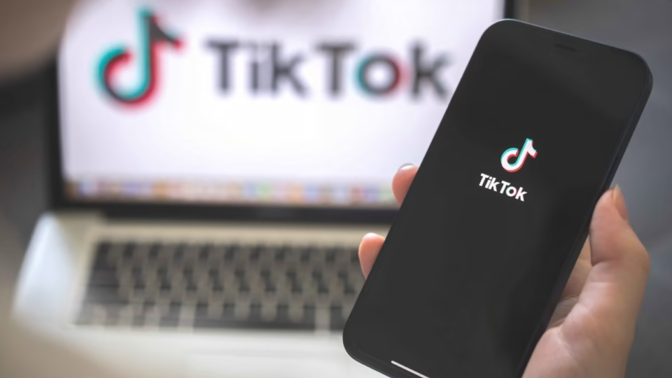 В Румынии предлагают приостановить работу TikTok из-за возможного влияния на выборы