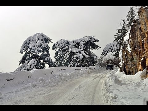 Столкновение на заснеженном спуске Ай-Петри