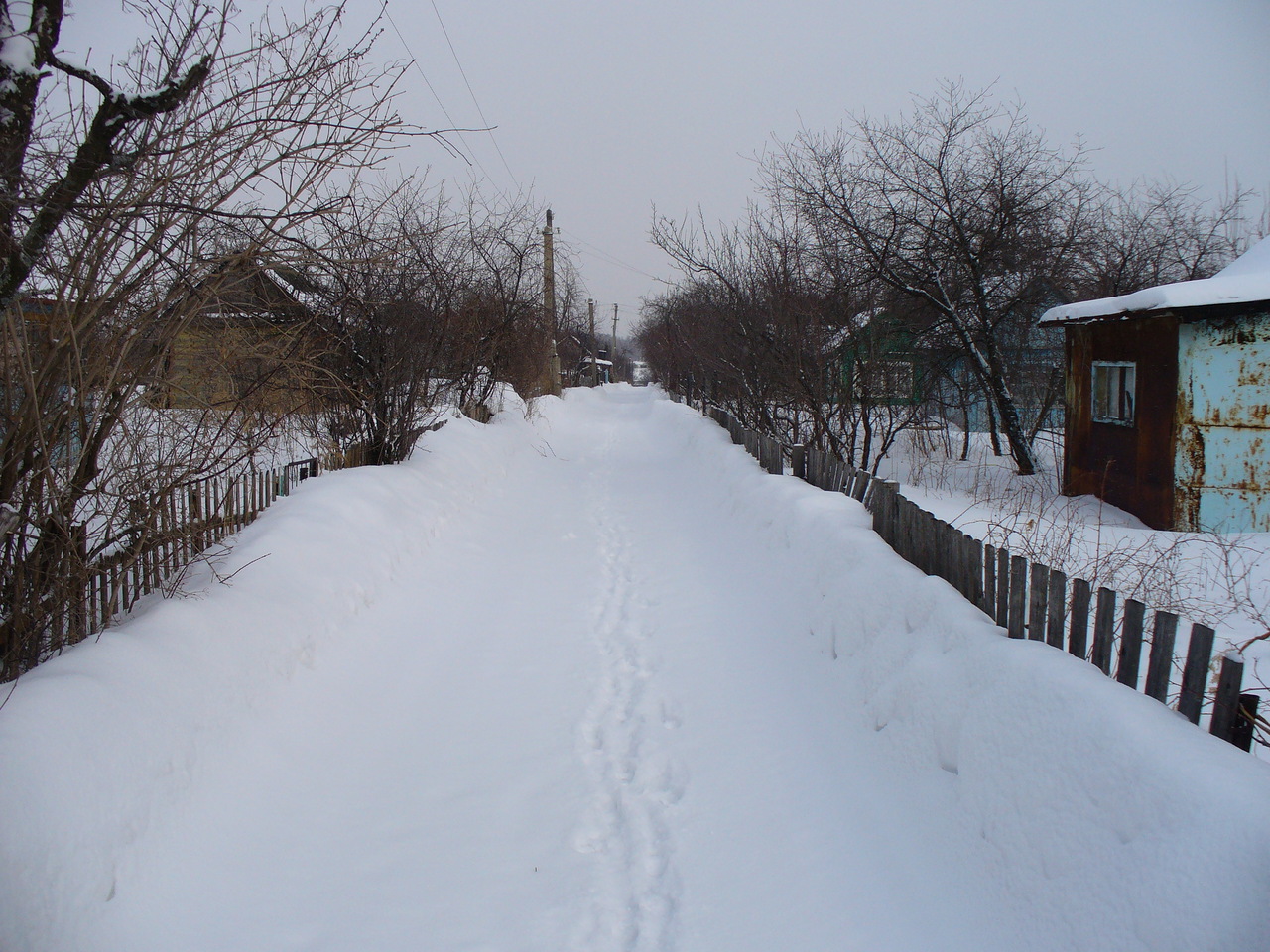 Правнучкина благодарность