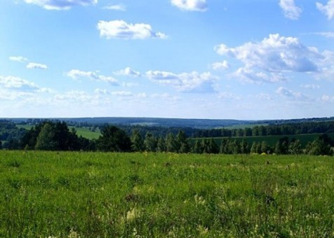 Упрощено получение лицензии для проведения оценки земель