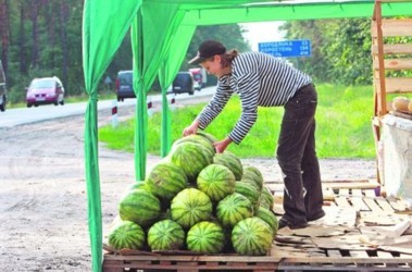 Прокуратура проверит безопасность стихийной торговли бахчевыми у дорог 