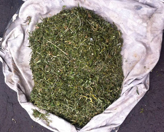 В Краматорске полиция изъяла марихуану на сумму свыше 150 тыс. грн.