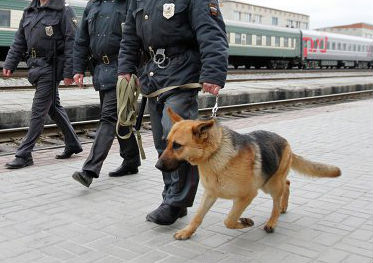 Мужчина пытался перевезти наркотики в батоне